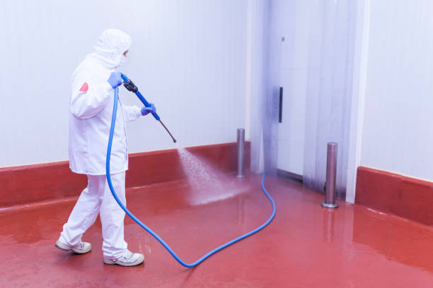 Trusted Mechanicstown, NY Pressure Washing Experts